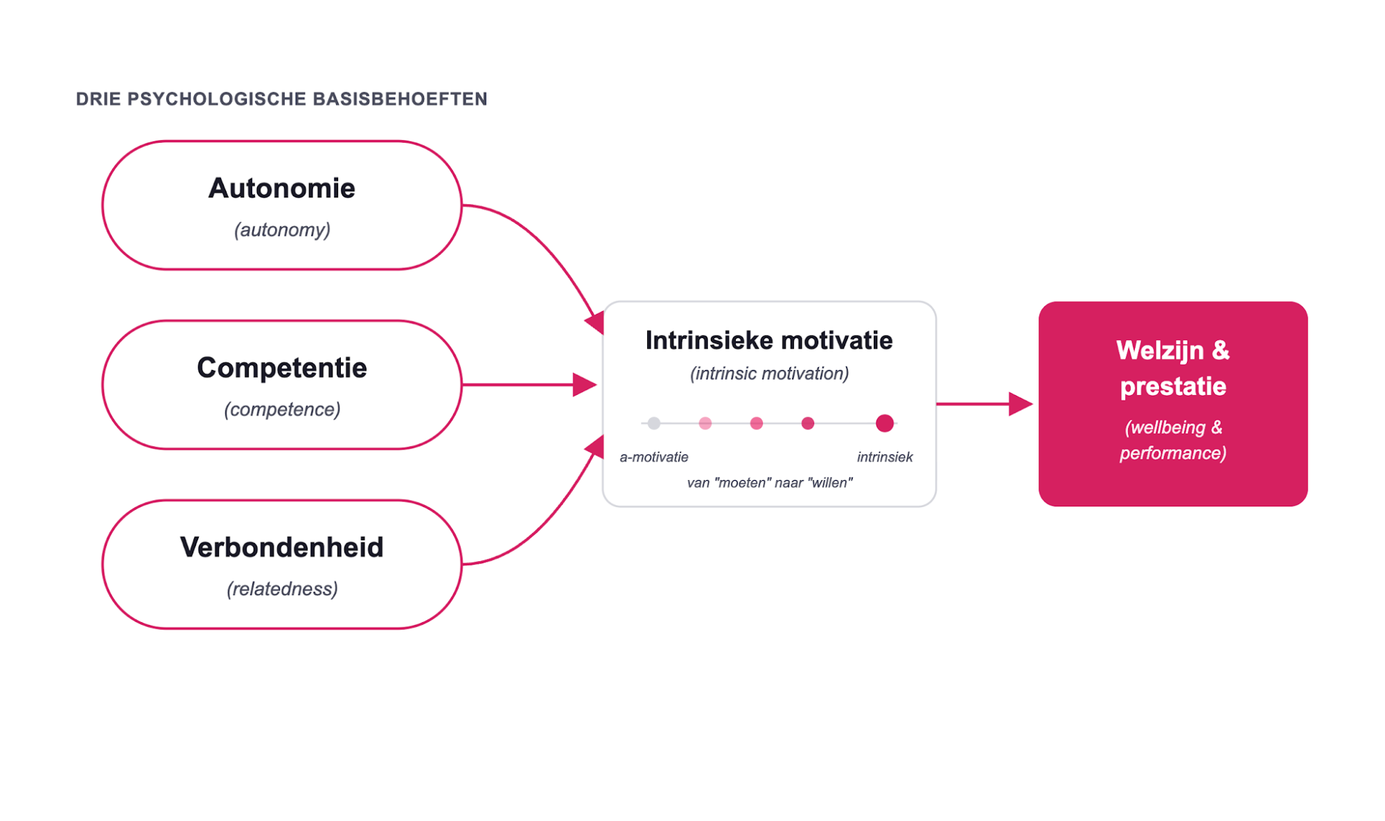 Zelfdeterminatietheorie met autonomie, competentie en verbondenheid als psychologische basisbehoeften